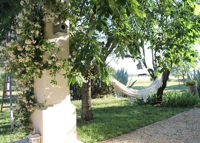 De La Seuve Bed and Breakfast