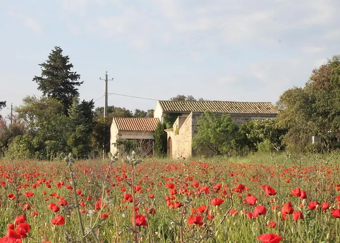 De La Seuve Bed and Breakfast